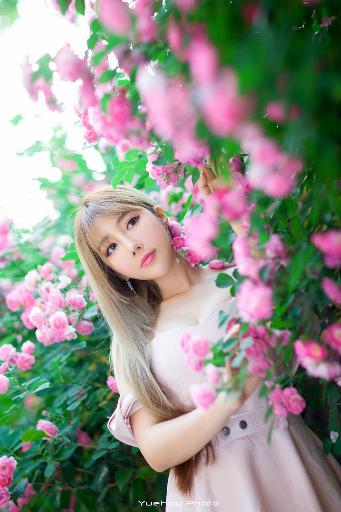 10部必看！小姐电影在线看完整韩剧你知道几部？